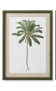 Cuadro Ratán Verde Palmera