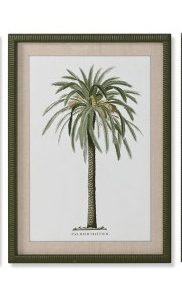Cuadro Ratán Verde Palmera
