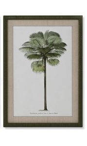Cuadro Ratán Verde Palmera
