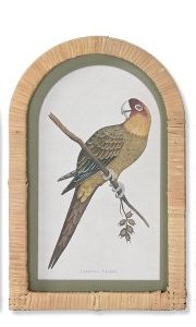 Cuadro Ratán Cristal Loro