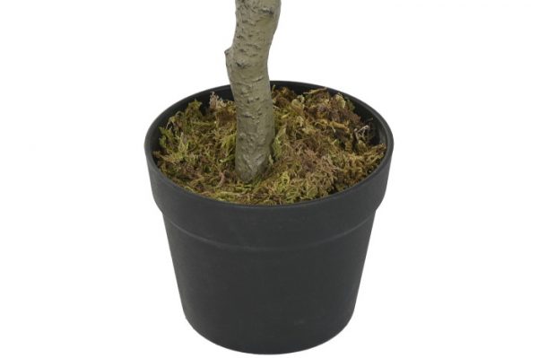 Planta Eucalipto Verde 50x120cm. - Imagen 3