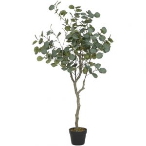 Planta Eucalipto Verde 50x120cm.