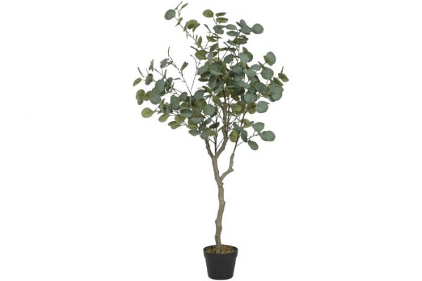 Planta Eucalipto Verde 50x120cm.