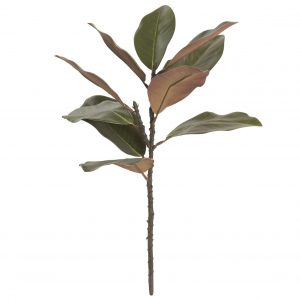 Rama Magnolio Verde 56cm